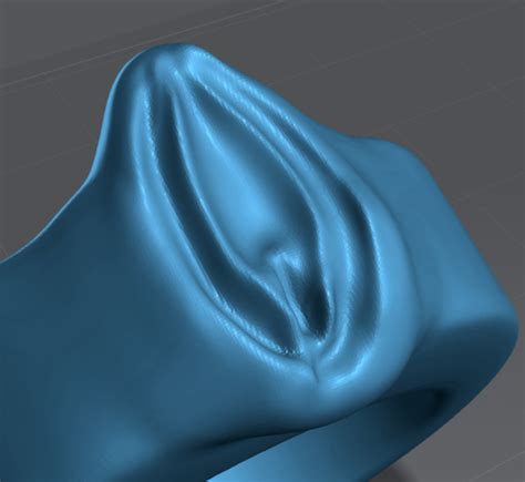 shaved pussy stl file|Download 167 3D print files tagged with keyword Pussy .